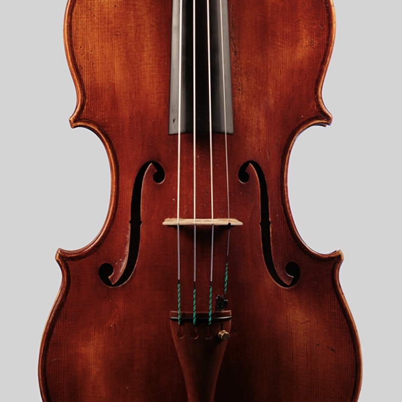 die decke einer Viola/bratsch