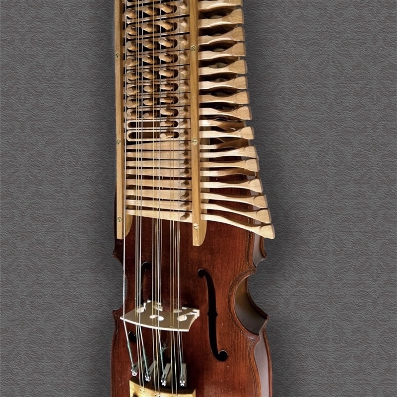 Bild einer Nyckelharpa