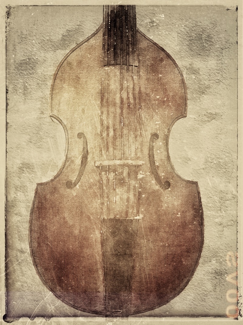 foto einer bassgambe