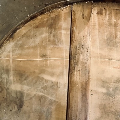 aquarellmalerei der Gambendecke