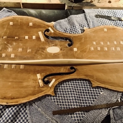 der fertige Gambensteg für die Gambe